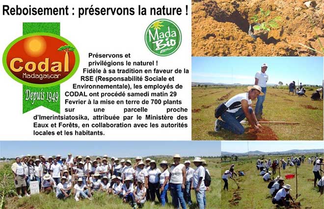 Reboisement-préservons la nature